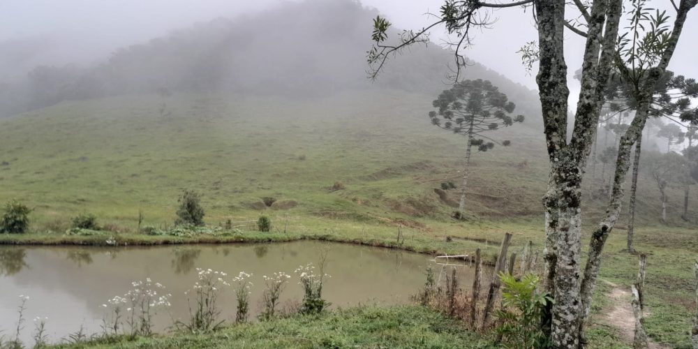 f16ebd9c-a10f-4680-8fad-13c36309b96e