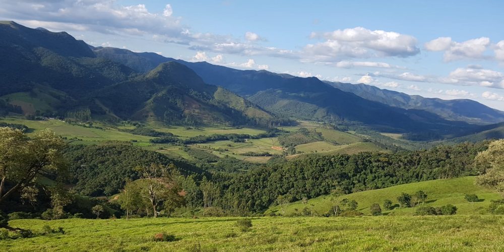 f260f519-961d-408d-992d-17ecc7ea2321