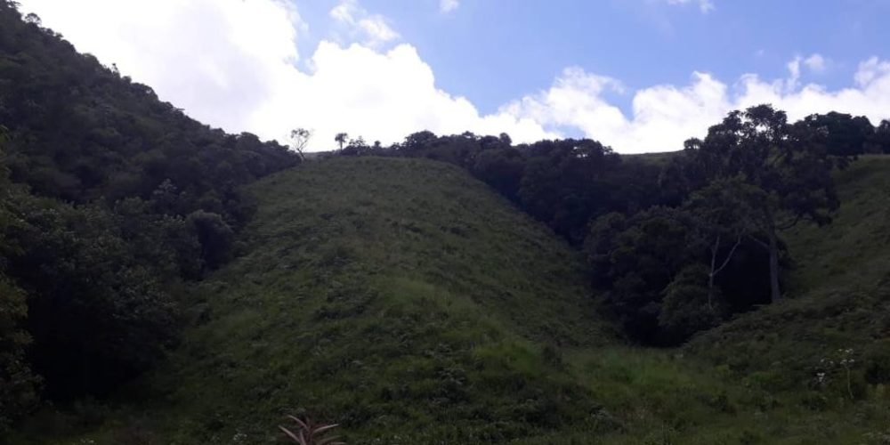 f2a47a3e-5fe4-420d-8998-acc7ebd9d0f3