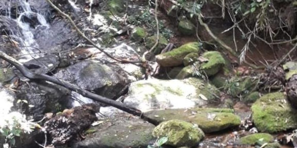 f2f19891-21e6-4499-97c0-0bf3c43c2513