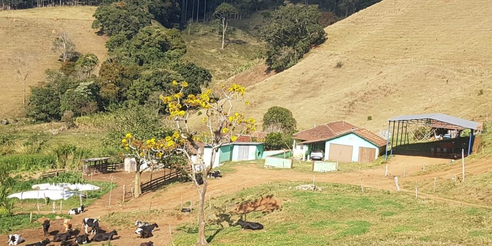 f32049fa-558d-4903-9141-aefddaad1206