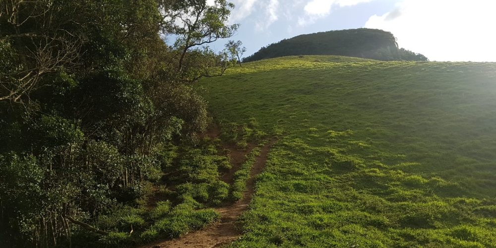 f3a12249-251d-406a-be1b-35a57b561b7e