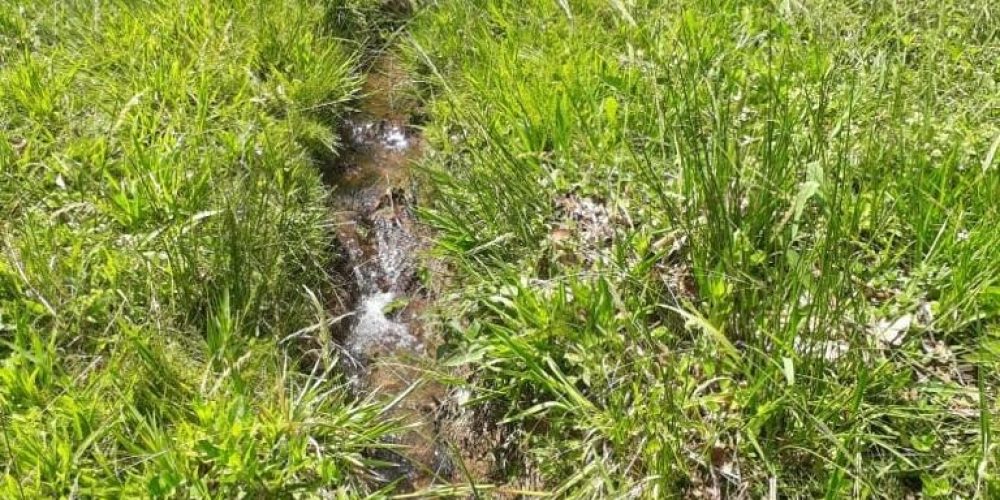 f5322b81-344f-438d-98c0-a70d952cca90