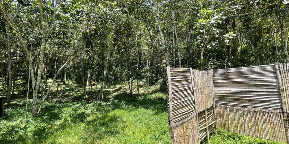 f5c2bdb2-afd9-4651-90ea-f57c49965fa4