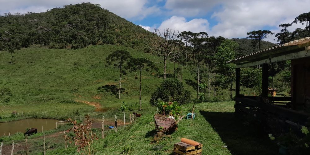 f96291d7-e672-42d2-8a80-b32b8a38d92c