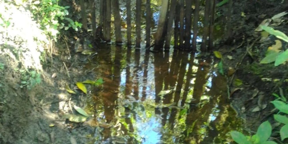 fa3f028874d0b73192673195d759c6da