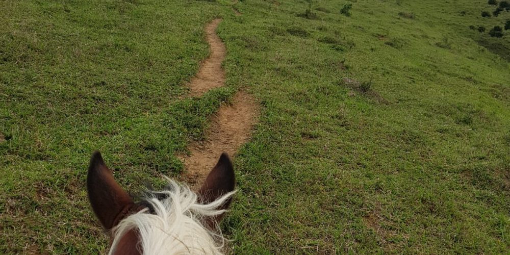 fe2384fe-ba4b-40a8-8353-94440aca5699