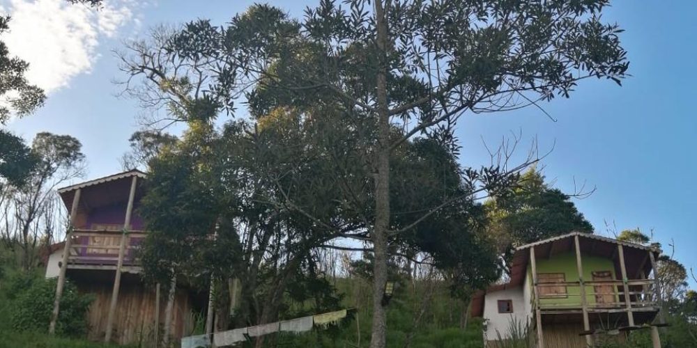 ff39e993-a918-4f60-b5f5-0443199ca737